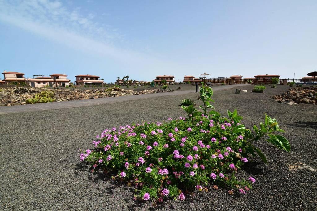 Villa Casa Platanera!! Lajares Exterior foto